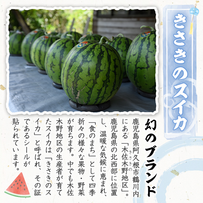 幻のブランド「きさきのスイカ」(4kg以上×2玉) スイカ すいか 西瓜 果物 フルーツ 野菜 旬 夏 おやつ 水分補給 熱中症対策 木佐木野【竹ん子山】akn097-07