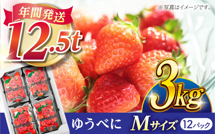 いちご Mサイズ ゆうべに 3kg（12pc）【熊本ベリー】 いちご イチゴ 苺 ゆうべに 大粒いちご  [ZER009]