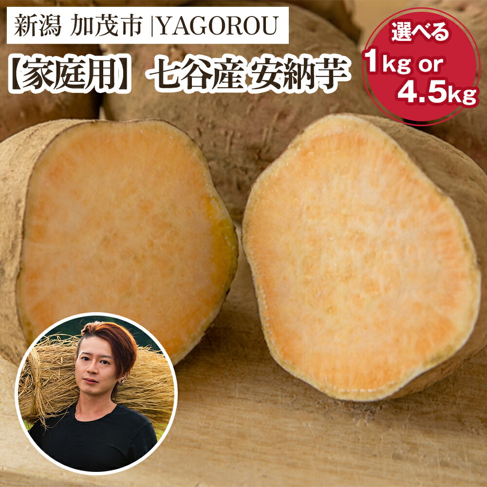 【ふるさと納税】【2025年先行予約】【家庭用】安納芋 （A品・B品混在） 選べる 「1kg」 or 「4.5kg」 新潟県加茂市七谷産 さつまいも《11月下旬〜順次発送》 サツマイモ お芋 焼き芋 スイートポテト 野菜 根菜 低温熟成 加茂市 YAGOROU ヤゴロウ