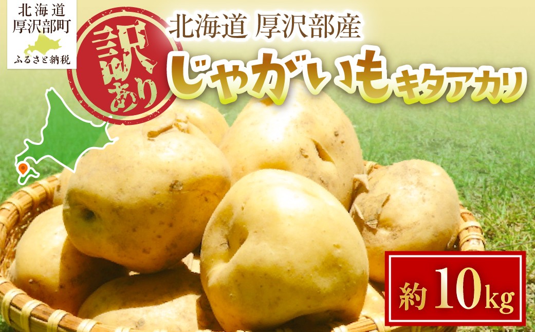 
                  【2026年7月下旬頃より順次発送】(訳あり) じゃがいも キタアカリ 10kg 【 ふるさと納税 人気 おすすめ ランキング じゃがいも ジャガイモ キタアカリ カレー コロッケ 煮物 北海道 厚沢部 送料無料 】 ASG045
                