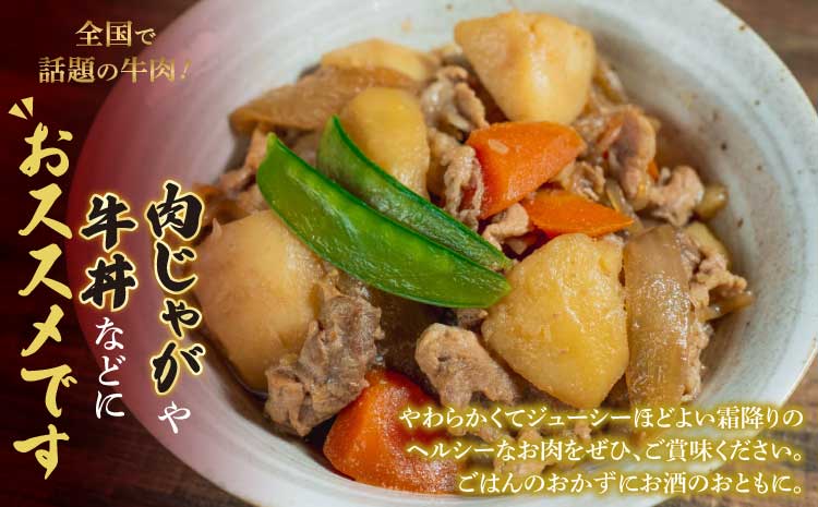 くまもと黒毛和牛 切落し 計600g（300g×2パック）国産 和牛 牛肉