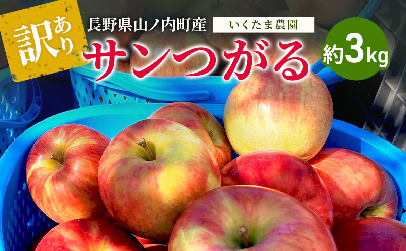 【2026年8月～発送】訳あり サンつがる 約3kg リンゴ りんご フルーツ 果物 お取り寄せ 長野県 山ノ内町