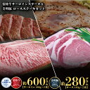 【ふるさと納税】ステーキセット 常陸牛600g・美明豚280g 銘柄牛 きめ細い 柔らかい 豊かな風味 黒毛和牛 A4ランク A5ランク ブランド牛 茨城 国産 黒毛和牛 霜降り 牛肉 冷凍 ギフト 内祝い 誕生日 お中元 贈り物 お祝い 焼肉 茨城県共通返礼品 送料無料