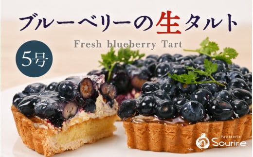 【先行予約】【数量限定】サクサク食感 ブルーベリーのフレッシュタルトケーキ 5号：直径15cm (4〜5人前) 850g 【2025年7月上旬以降順次発送】 レビューキャンペーン実施中！【ブルーベリー ケーキ 生タルト 果物 くだもの ホール たると スイーツ デザート ベリー フルーツケーキ 洋菓子 贈答 ギフト】 [A-5206]