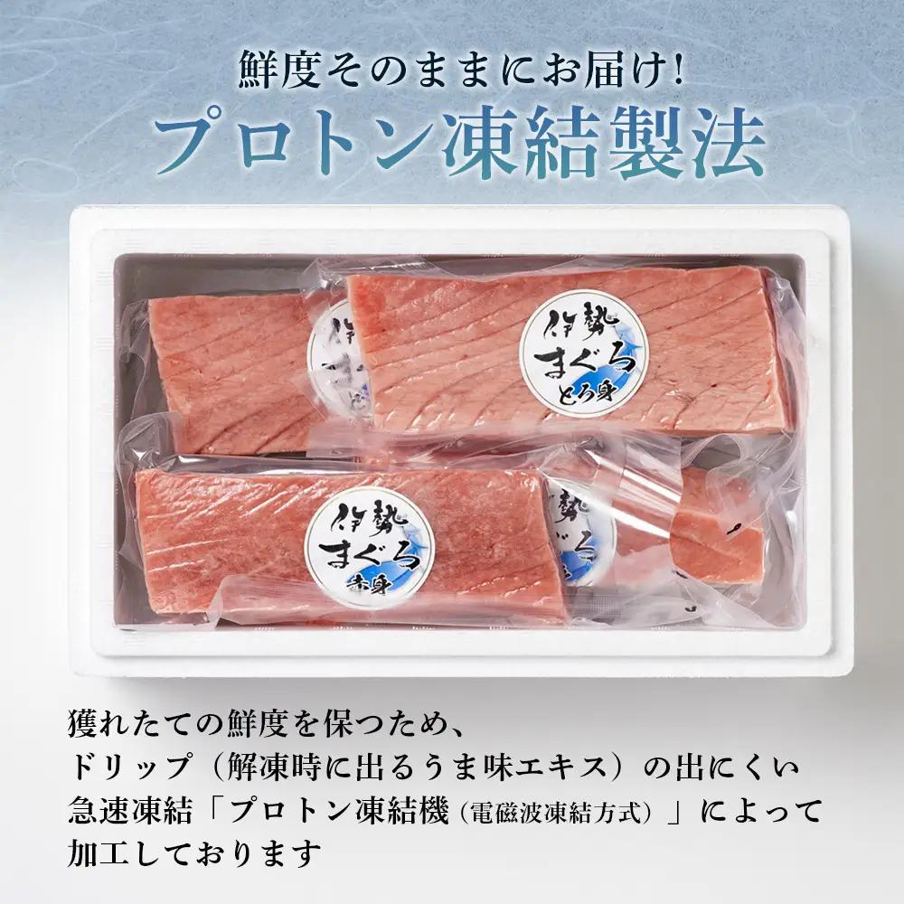 【 冷凍 】本マグロ 赤身 トロ身 約700g ブルーフィン三重 【 本鮪 】