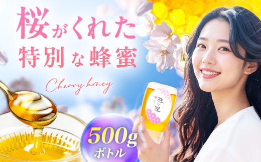 早春みつ 1本（500g）　広川町 / 株式会社九州蜂の子本舗 [AFAI044]