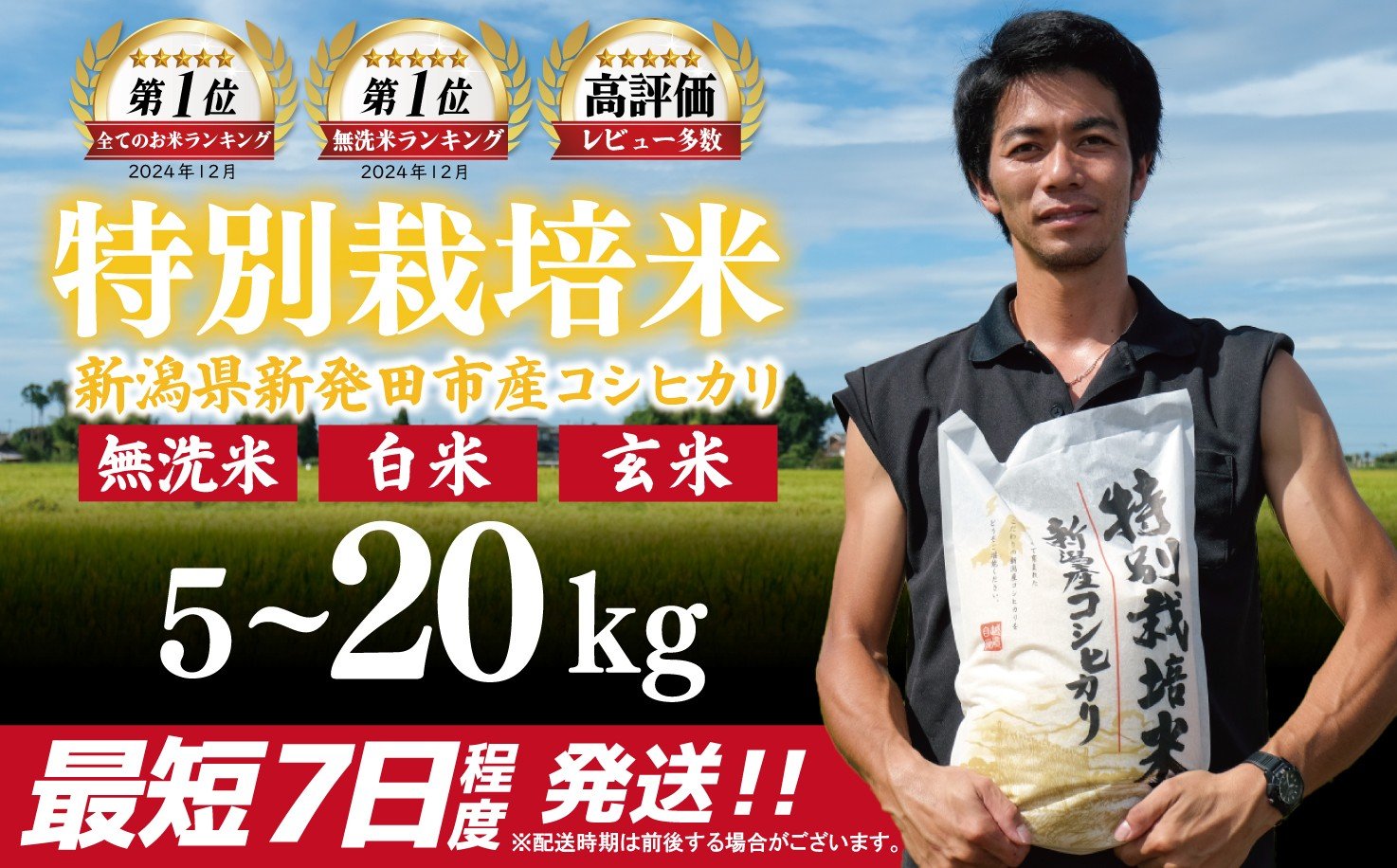 
                  【最短7日発送】 令和7年産 コシヒカリ 無洗米 白米 玄米 5kg 10kg 20kg 特別栽培 こしひかり 新潟産 新潟米 新発田産 新発田 お米 米 kome ご飯 こめ ごはん ライス ふるさと納税 お弁当 食品 ブランド米 新潟県 新発田市 斗伸 toushin001_02P
                