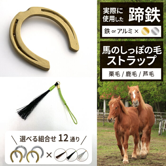 蹄鉄 （鉄製 ゴールド）× 馬のしっぽの毛ストラップ（栗毛）馬 蹄鉄 蹄 本物 毛 しっぽ 尾 馬蹄 インテリア アクセサリー 置物 雑貨 幸運 厄除 お守り 岩手県 滝沢市 送料無料