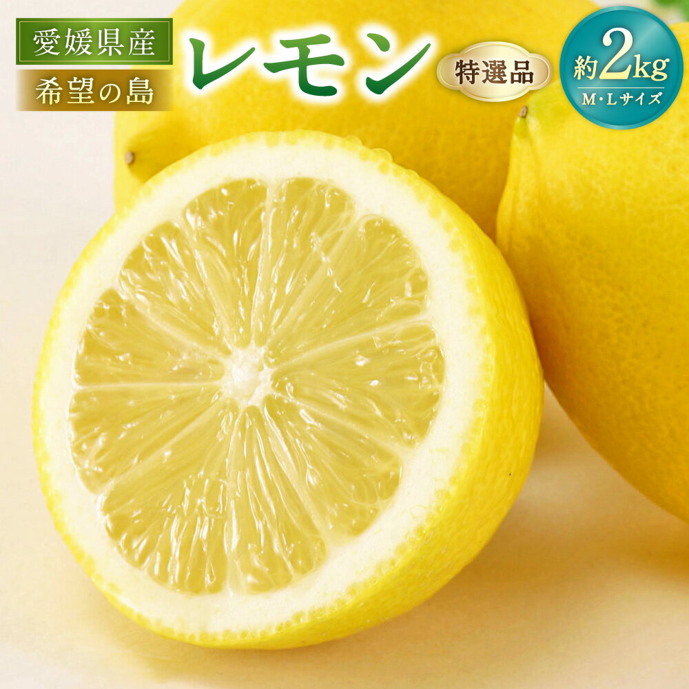 【ふるさと納税】【希望の島】レモン 特選品 中玉 2kg M/Lサイズ 島レモン れもん 檸檬 フルーツ くだもの 果物 果実 柑橘 かんきつ 菓子 ドリンク 調味料 果肉 果汁 ピール 愛媛県産 国産 松山市 中島産 送料無料 （1012）【2026年6月下旬迄順次発送予定】