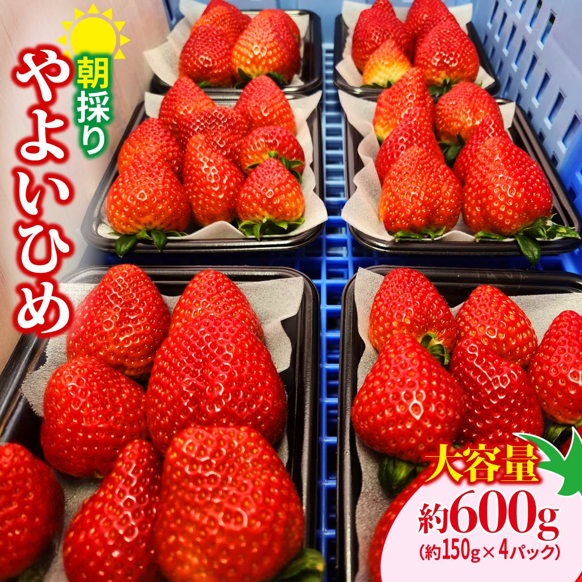 【ふるさと納税】いちご やよいひめ 大容量 150g×4パック | コク 甘み 朝採れ やよいひめ 大粒 甘み 酸味 バランス 贈答用 新鮮 完熟 いちご 旬 苺 ストロベリー 産地直送 果汁 甘い あまい 人気 高評価 減農薬 美容 健康 旨味 高糖度 ごほうび 群馬県 前橋市