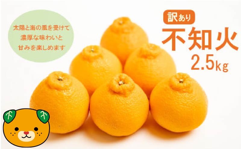 先行予約 訳あり 減農薬 不知火 2.5kg 愛南フルーツ サイズミックス サイズ混合 不揃い 柑橘 蜜柑 愛媛 みかん 清見 ポンカン デコポン 果物 フルーツ 産地 産直 発送期間：2024年4月1日～ 4月20日