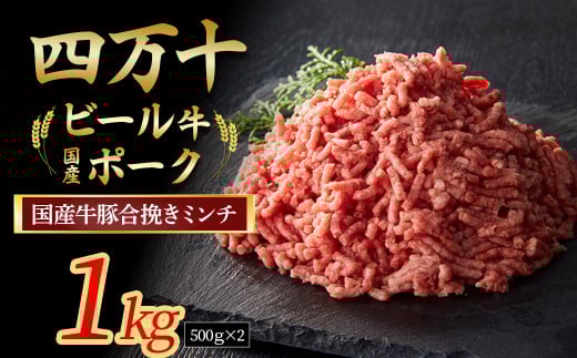 【12月配送】 国産牛肉 豚肉の合挽肉 1kg（500g×2） 配送月指定 Asz-B14 国産 牛肉 豚肉 ミンチ 合挽肉 小分け 冷凍 四万十ポーク ハンバーグ 人気