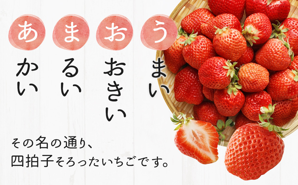 【2024年2月上旬より順次発送】【先行予約】あまおう 等級G 約1,120g 約280g×4 いちご 苺 果物 フルーツ