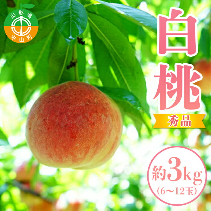 【ふるさと納税】【2026年先行予約】山形県中山町産白桃 約3kg(6玉～12玉) 期間限定 数量限定 山形県産 フルーツ くだもの 果物 もも モモ F4A-0107