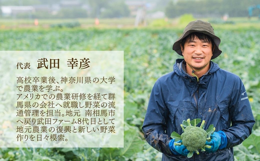 【先行予約】ミルキークイーン  白米 10kg(5kg×2袋) | 令和8年産 サムランド【149448-006-02】