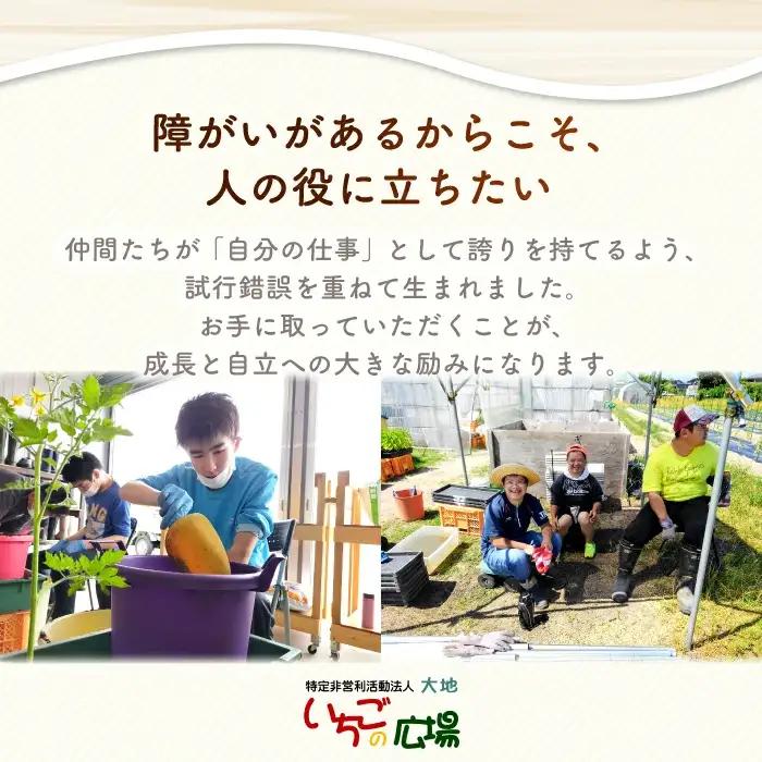 くつろぎcaféいちご　焼菓子詰め合わせセット（ハーフサイズ）