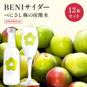 【ふるさと納税】炭酸 高島屋選定品 BENIサイダー 250ml 12本 セット 炭酸飲料 高島屋 飲料 梅サイダー サイダー 紅映 梅 うめ ウメ 福井県 福井　【 若狭町 】