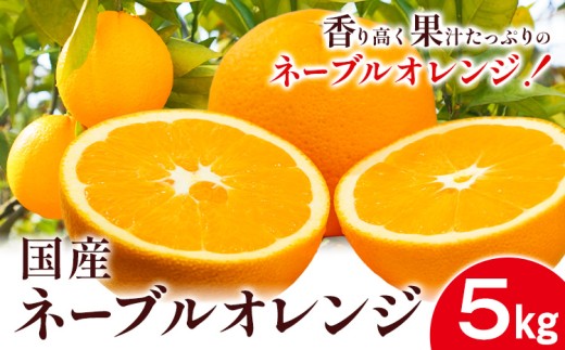 国産ネーブルオレンジ 5kg エイワ商店《2月上旬-3月中旬頃出荷》和歌山県 日高川町 送料無料 ネーブルオレンジ オレンジ みかん 柑橘類 フルーツ 果物 柑橘