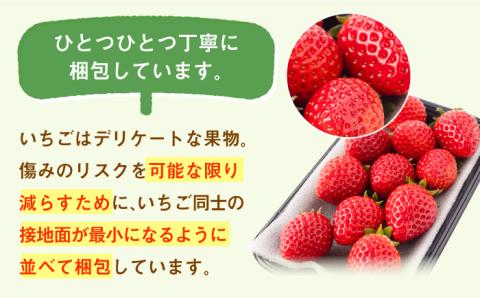 【R8年2月以降発送】【先行予約】【3回定期便】白石産 いちご さがほのか 約150g×6パック/回（総計2.7kg以上）【道の駅しろいしカンパニー】イチゴ [IAA031]