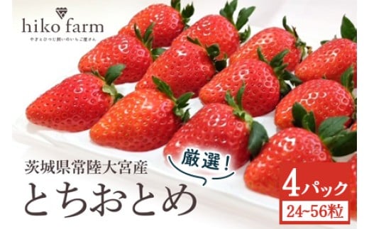 【先行予約】ごほうびいちご（厳選とちおとめ）4パック入り（24～56粒）黒パッケージ いちご イチゴ 苺 とちおとめ フルーツ 果物 くだもの デザート 【hiko farm（ヒコファーム）】 【ho1572】