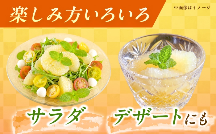 小夏 こなつ 柑橘 高知 フルーツ 日向夏 お取り寄せ 訳あり 先行予約