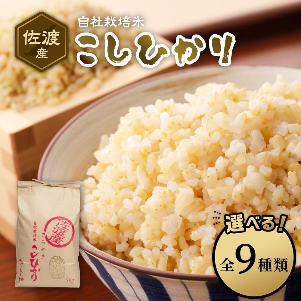 【ふるさと納税】自社栽培米佐渡産こしひかり（玄米）【定期便】