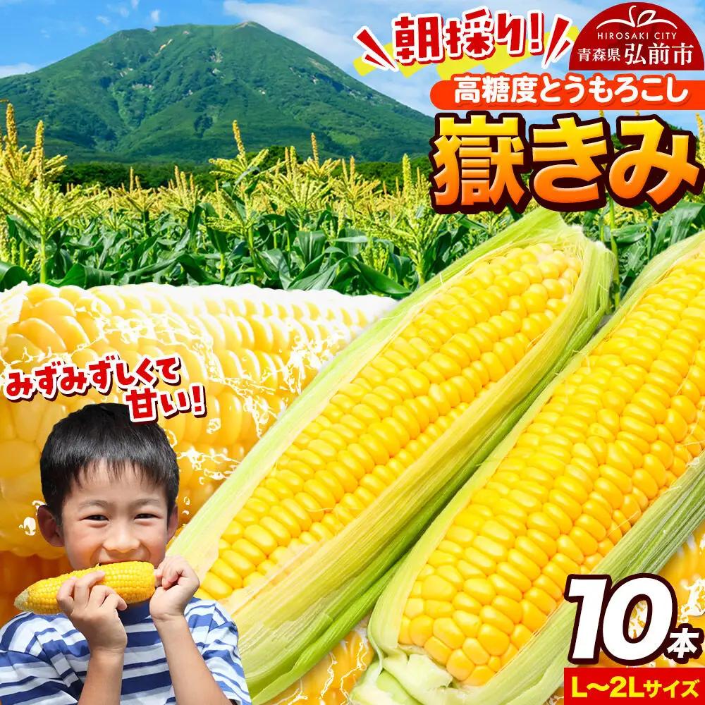 とうもろこし 嶽きみ（だけきみ） 10本 L～2L【7月～発送】