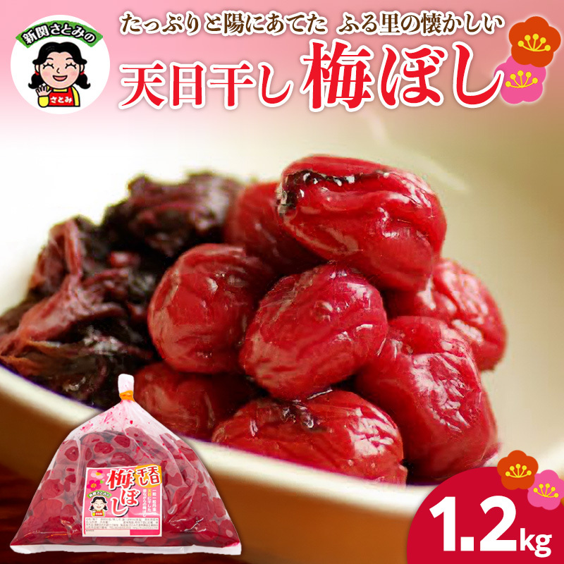 たっぷりと陽にあてた ふる里の懐かしい「天日干し梅ぼし」1.2kg FZ26-725