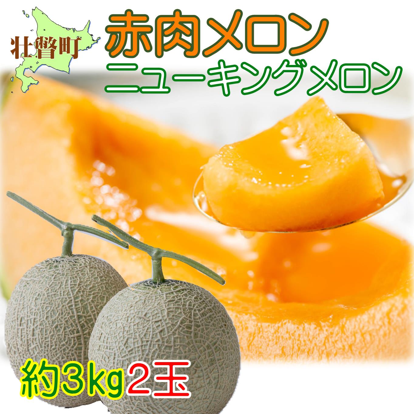 【ふるさと納税】＜2025年7月下旬よりお届け＞北海道壮瞥産 赤肉メロン（ニューキングメロン）2玉 約3kg ふるさと納税 人気 おすすめ ランキング メロン めろん ニューキングメロン 果物 甘い 赤肉 北海道 壮瞥町 送料無料 SBTN003