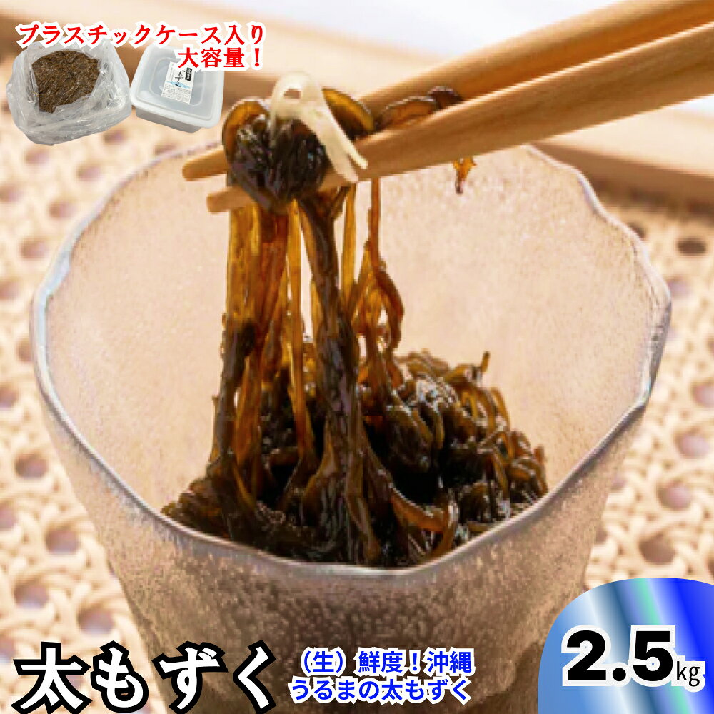 生産量日本一！うるま市勝連産の生もずく（お徳用）2.5kg　生もずく　沖縄　手軽　贈り物　冷凍　天ぷら　沖縄そば　ミネラル　海　沖縄　うるま市　勝連　海藻