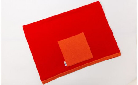 ストール CLEMATIS リバーシブル和紙ストール ( たたきポケット・レッド ) レディース | 大判 ストール リバーシブル 和紙 おしゃれ シンプル マフラー 春夏 春 夏 新潟県 五泉市 株