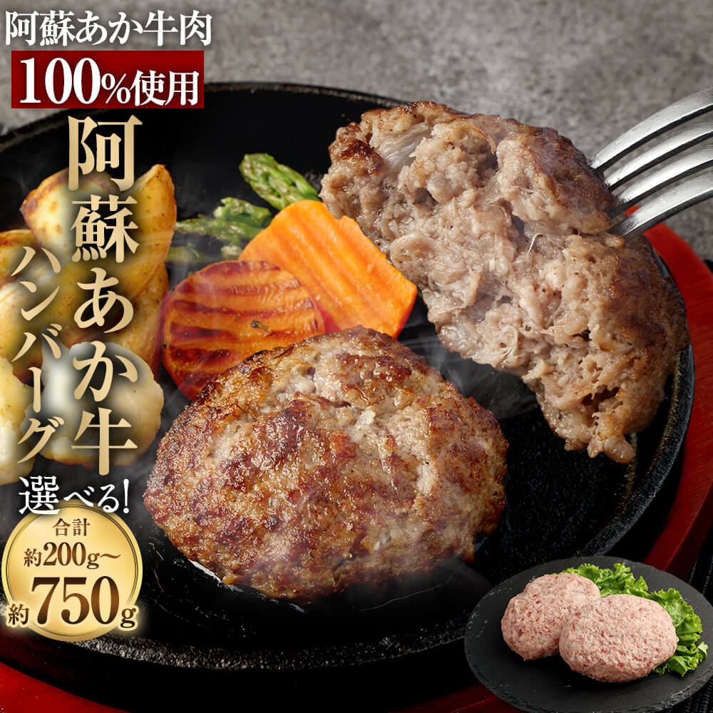 【ふるさと納税】【選べる 容量】 阿蘇あか牛 ハンバーグ 100g×2個/100g×7個/150g×5個 （合計約200g/約700g/約750g） セット 牛肉100% 九州産 熊本県産 国産 国産牛 阿蘇 あか牛 牛肉 肉 お肉 ビーフ 生ハンバーグ 冷凍 熊本県 相良村 送料無料