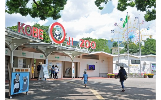 
                  王子動物園 グッズ＆年間パスポート | 1年間動物サポーター 神戸 六甲 人気 観光スポット 動物園 入場券 チケット 体験 旅行 兵庫 おすすめ 遊園地 食事 動物いっぱい キリン コアラ ゾウ 国内旅行 トラベル 家族 友人 夫婦 カップル 休日 休み 過ごし方 遊び おでかけ 楽しい動物園
                