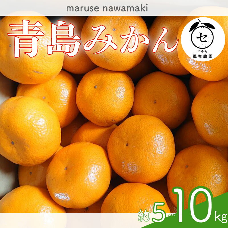【ふるさと納税】 選べる 容量 みかん 青島 みかん 約 5kg ～ 10kg 先行予約 2025年 12月 中旬 から 発送 ミカン 蜜柑 柑橘 果物 フルーツ 数量限定 果汁 果実 農家 直送 ギフト 贈答 美味しい 国産 安心 静岡みかん 牧之原みかん マルセ縄巻農園 牧之原市 静岡県