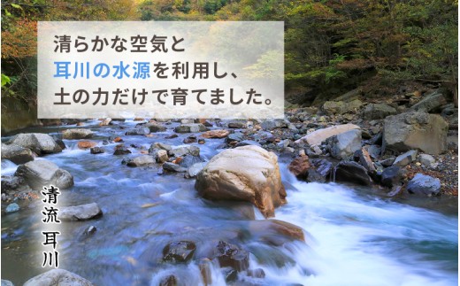 【令和8年産】定期便 ≪6ヶ月連続お届け≫長谷川農園の コシヒカリ 無洗米 10kg × 6回 (計60kg) 【お米 こしひかり 10キロ 精米 ブランド米 ふるさと納税米 産地直送】 [m22-l