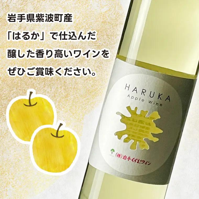 りんごワイン「はるか」2本セット(EX002)ワイン 