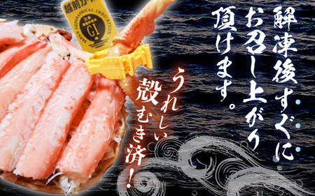 【先行予約】せいこがに（越前がに） 甲羅盛り 大 約110g × 2杯【冷凍】【2026年11月下旬以降順次発送予定】せいこがに [m36-c002]