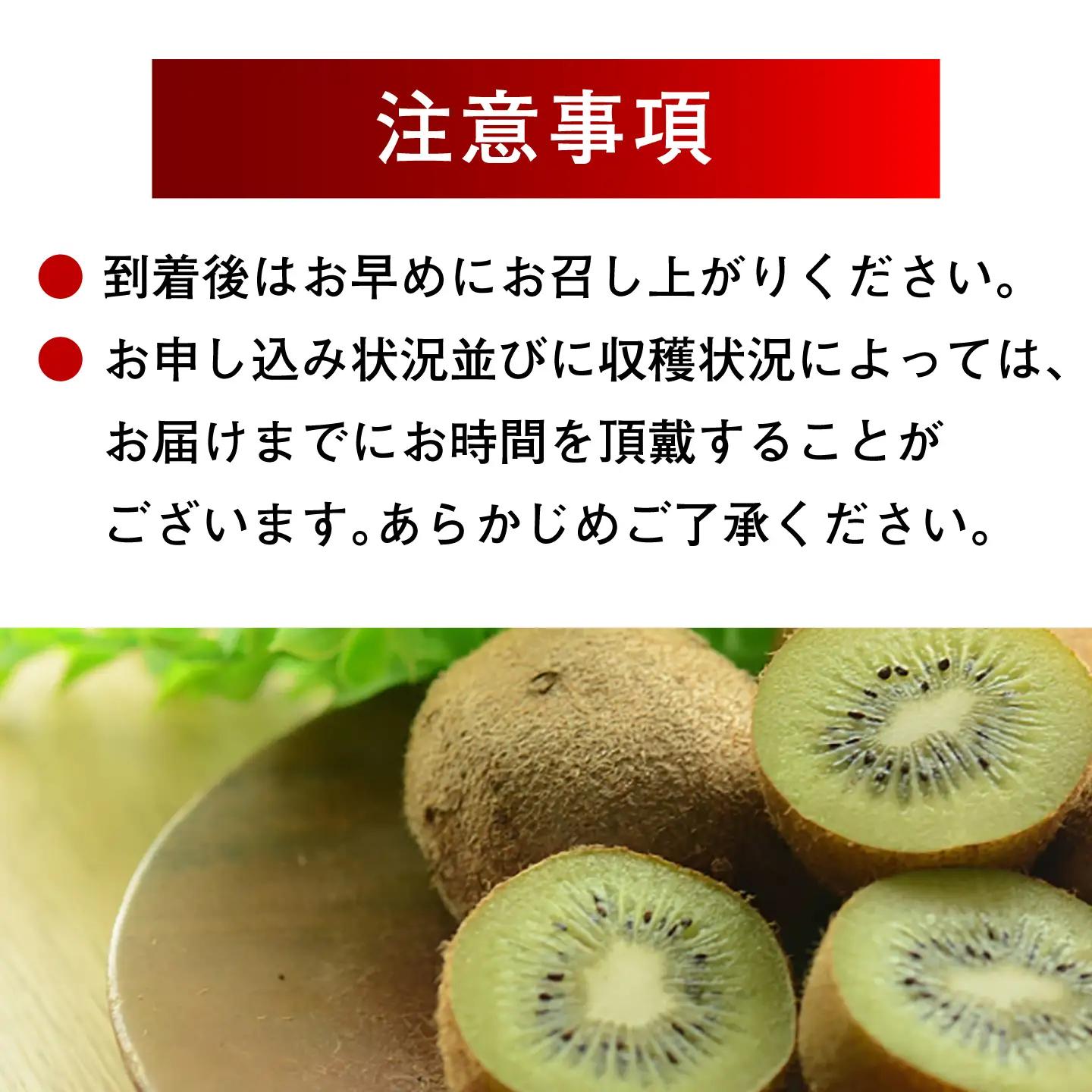 キウイフルーツ 2kg [AGBN057]