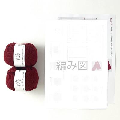 ふるさと納税 江南市 毛糸2玉で編めるケーブル模様のハンドウォーマーキット 11番色 |  | 01