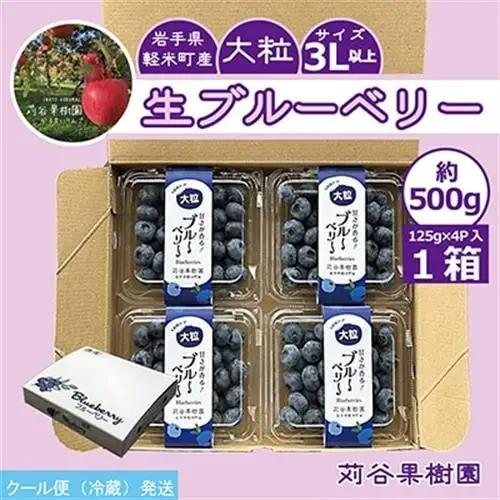 【期間限定 】【3L以上】大粒ブルーベリー約500g《125g×4パック入》 岩手県軽米町_ブルーベリーブルーベリーブルーベリーブルーベリーブルーベリー_【配送不可地域：離島・沖縄県】【1518038】