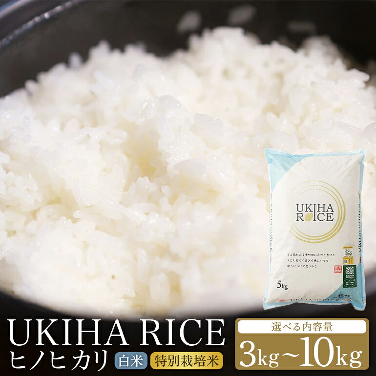 【ふるさと納税】米 白米 精米 UKIHA RICE 2kg 5kg 10kg（5kg×2袋） 特別栽培米 ヒノヒカリ 令和7年産 こめ ご飯 コメ ごはん 送料無料 国産 国産米 福岡 返礼品 お弁当 おにぎり 家庭用 ギフト プレゼント 仕送り rice kome お取り寄せ うきは市 株式会社みずほファーム