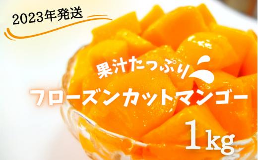 
果汁たっぷり フローズンカットマンゴー《計１キロ（500g×2袋）》
