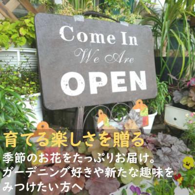 ふるさと納税 北上市 花屋が贈る季節の寄せ植え鉢 |  | 01