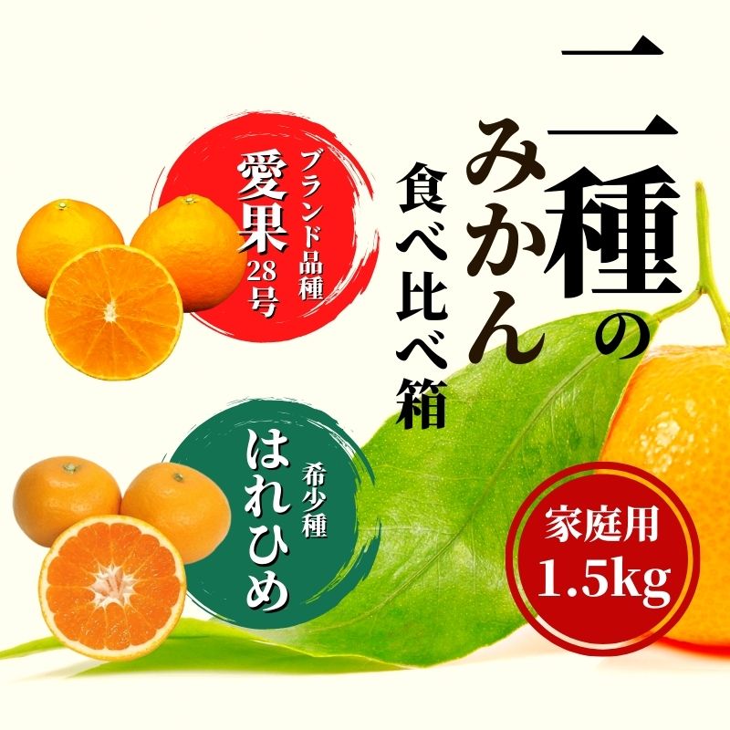 【ふるさと納税】 【早期予約受付中！2025年12月頃から順次発送】 二種のみかん食べ比べ箱 愛果 28 号・はれひめ 約 1.5kg 家庭用 | 愛果28号 まどんな 柑橘 みかん 果物 くだもの フルーツ おすすめ 高級 人気 お取り寄せ グルメ ギフト 期間限定 ご当地 愛媛県 松山市