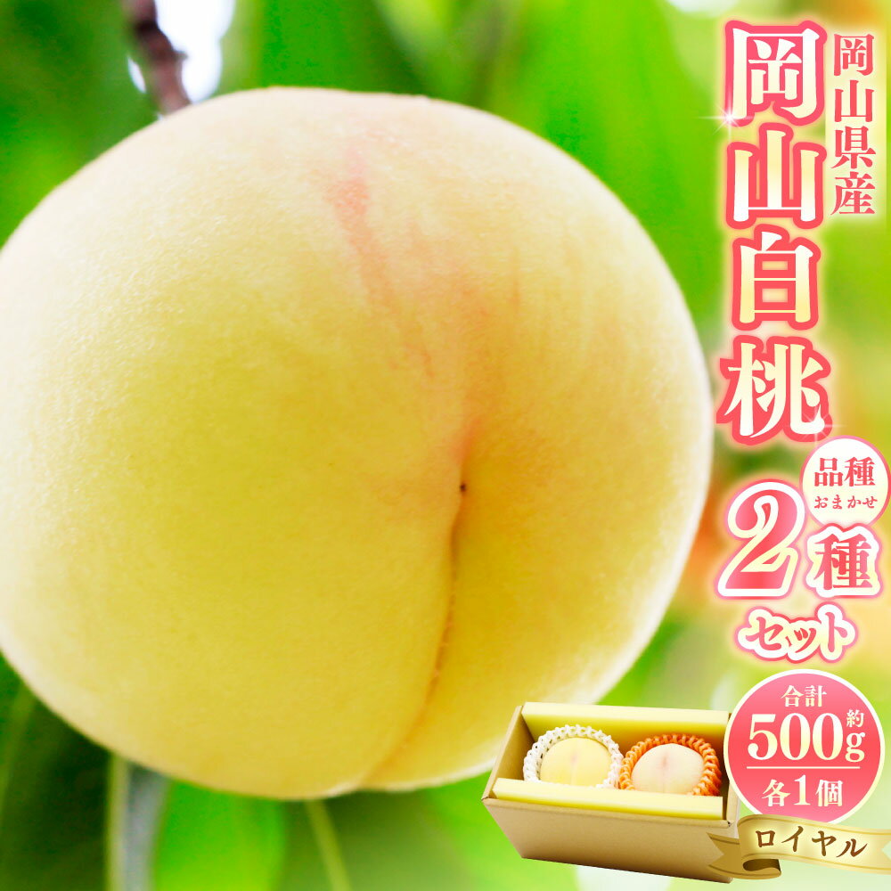 【ふるさと納税】岡山 白桃 2種2玉 （ ロイヤル ） 500g （ 計 1kg ） 【 2026年7月上旬から9月上旬頃発送予定 】 果物 くだもの フルーツ もも 桃 甘い 香り 柔らかい ジューシー 美味しい 岡山県 美咲町 送料無料