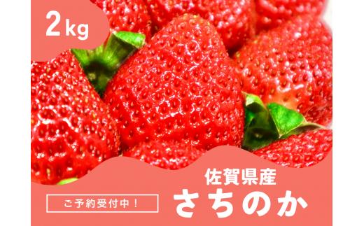 ＜先行予約受付中・令和7年2月以降順次発送＞濃厚苺 さちのか 2kg（A13726-04）