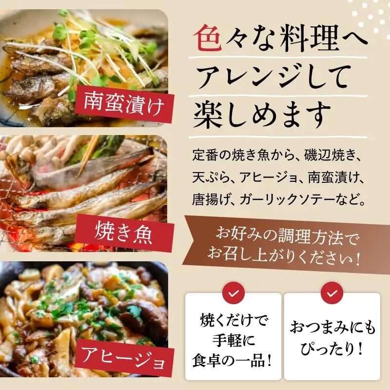 【訳あり】子持ちシシャモ 500g（500g×1袋） mi0012-0186
