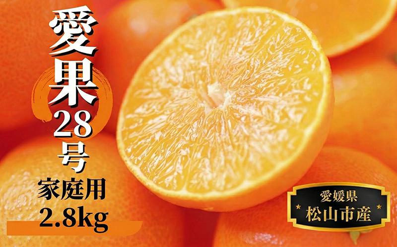 【2026年12月頃から順次発送】愛果28号 (紅まどんな と同品種) 約2.8kg 家庭用 | 紅まどんな と同一品種 みかん ミカン 蜜柑 果物 くだもの フルーツ 高級 贈答 ギフト 贈り物 柑橘 柑橘類 かんきつ 愛媛果試第28号 常温 国産 愛媛 愛媛県 松山市