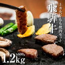 【ふるさと納税】飛騨牛上カルビ・もも焼肉セット　各600g 焼き肉 牛肉 和牛 肉 熨斗掛け［F0020］50000円 5万円