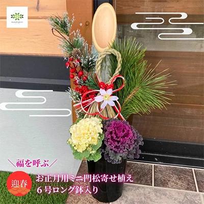 ふるさと納税 藤枝市 迎春・お正月用門松寄せ植え6号 　60cmタイプ